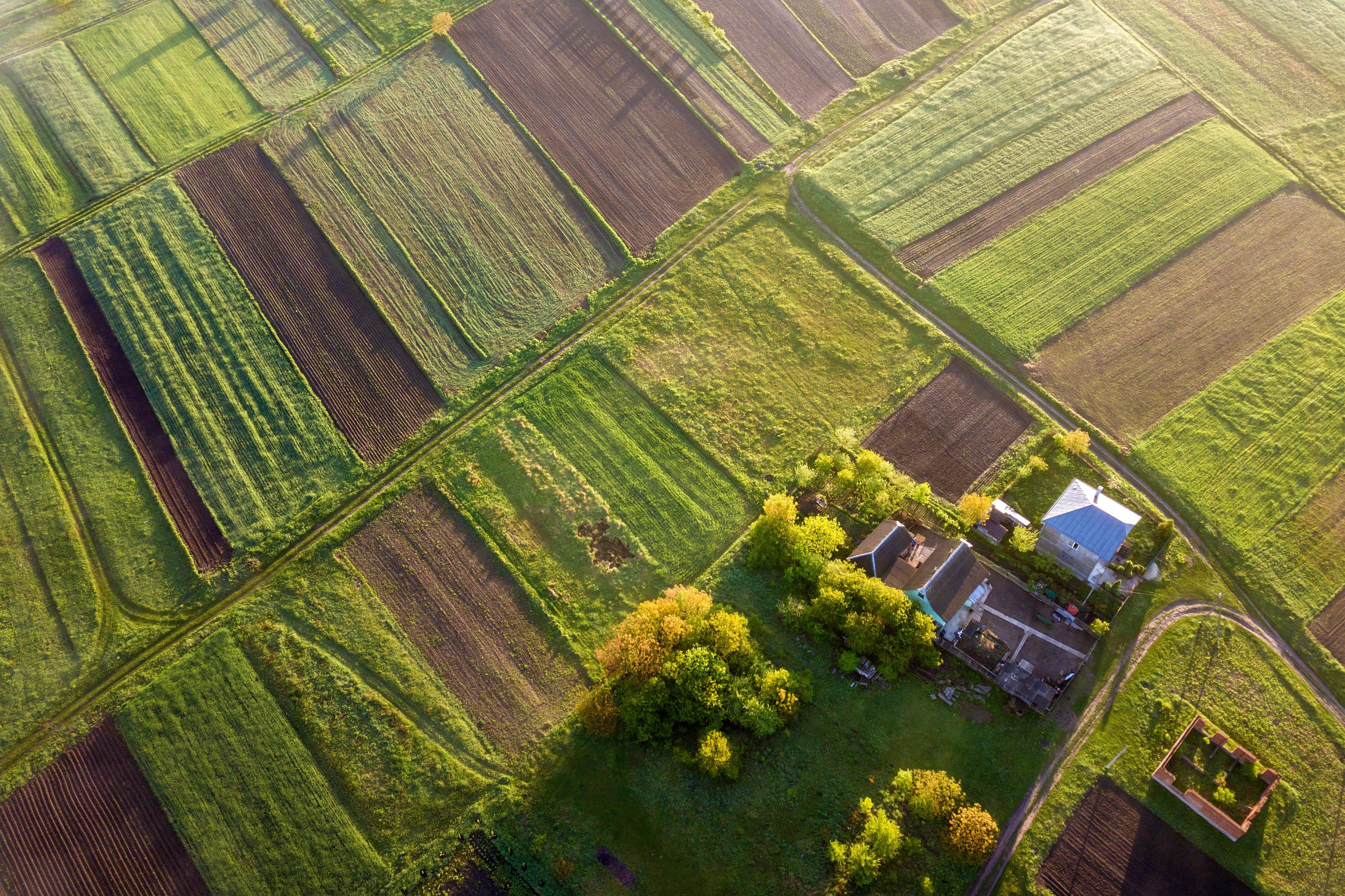 Tyrone Land Prices Reach Record Highs: What Property Owners and Buyers Need to Know in 2026